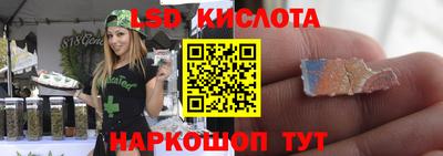 прущие грибы Кандалакша