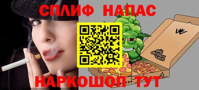 прущие грибы Кандалакша