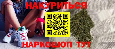 прущие грибы Кандалакша