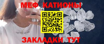 прущие грибы Кандалакша