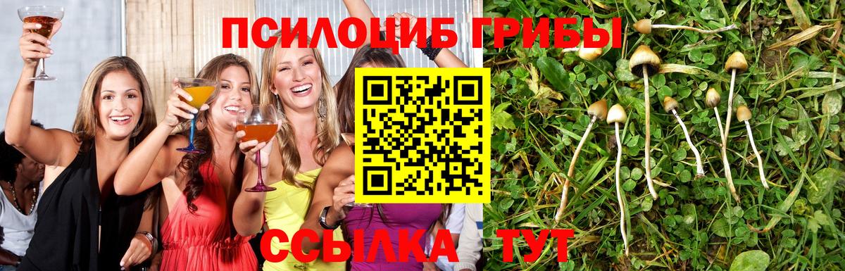 Псилоцибиновые грибы Cubensis  Вход с VPN  Галлюциногенные грибы Cubensis  Лесосибирск 